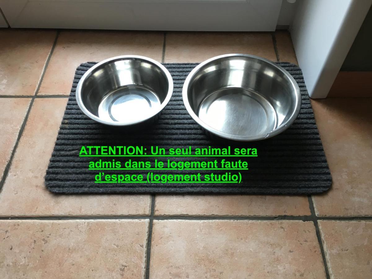 Studio "Pause A La Naturelle" Wimereux- Cote D'Opale 外观 照片